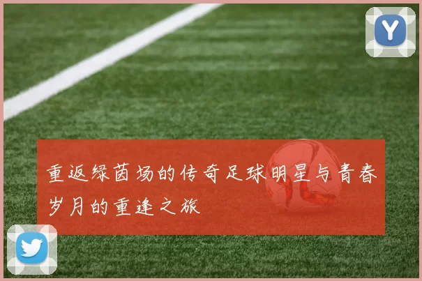 重返绿茵场的传奇足球明星与青春岁月的重逢之旅