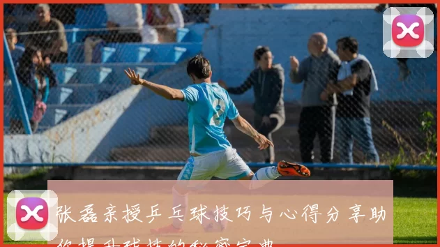 张磊亲授乒乓球技巧与心得分享助你提升球技的秘密宝典
