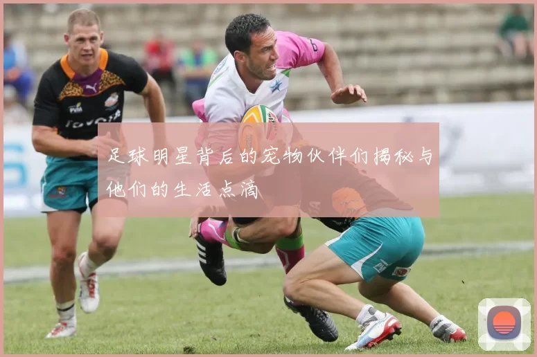 足球明星背后的宠物伙伴们揭秘与他们的生活点滴