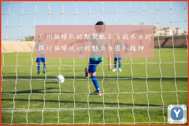 广州排球队的默契配合与战术分析探讨排球运动的魅力与团队精神