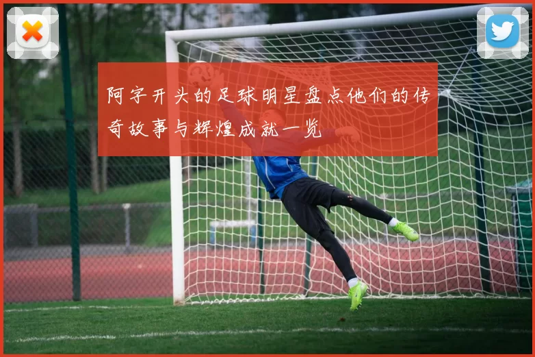 阿字开头的足球明星盘点他们的传奇故事与辉煌成就一览