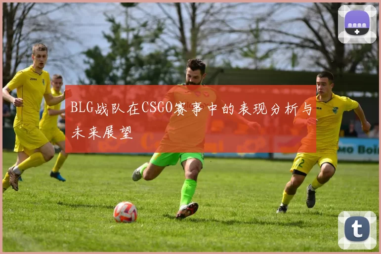 BLG战队在CSGO赛事中的表现分析与未来展望