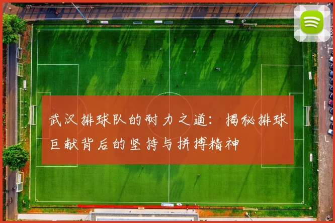 武汉排球队的耐力之道：揭秘排球巨献背后的坚持与拼搏精神