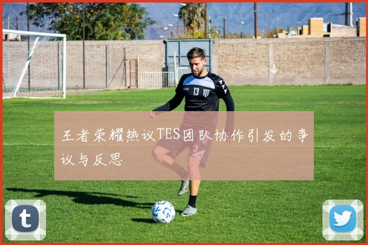 王者荣耀热议TES团队协作引发的争议与反思