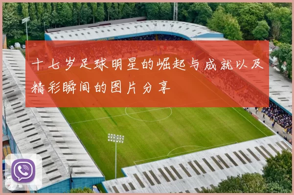 十七岁足球明星的崛起与成就以及精彩瞬间的图片分享