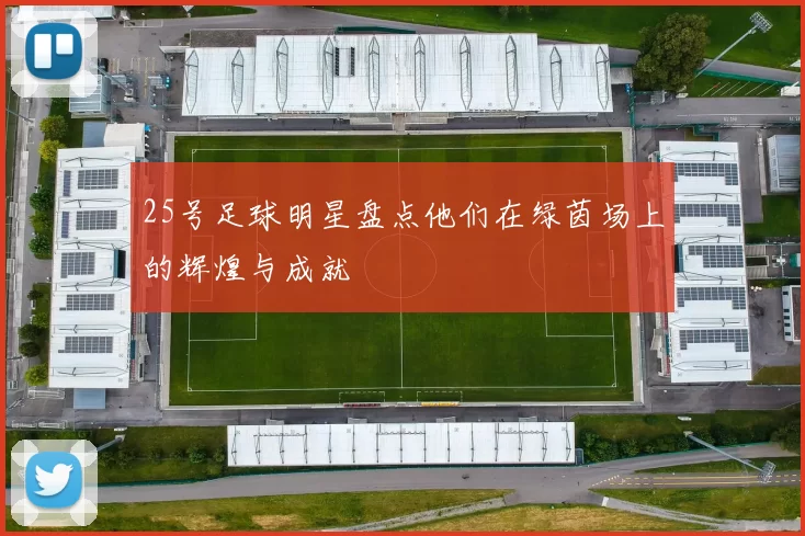 25号足球明星盘点他们在绿茵场上的辉煌与成就