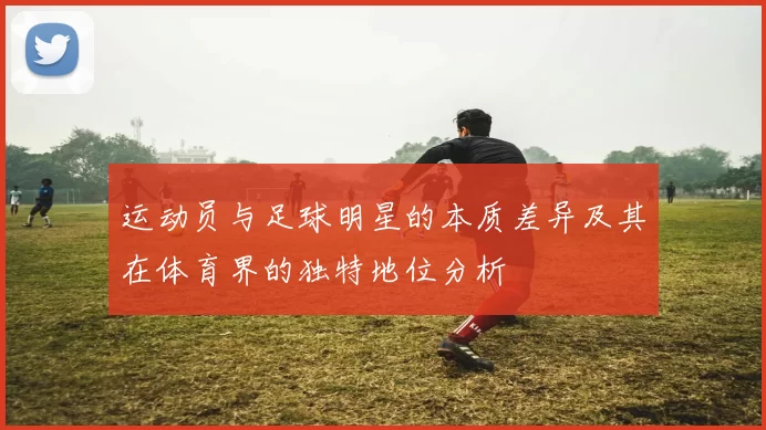 运动员与足球明星的本质差异及其在体育界的独特地位分析