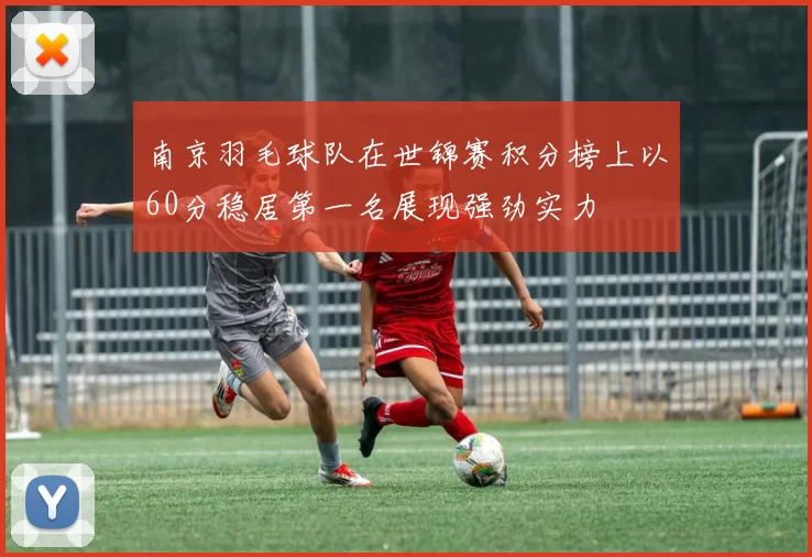 南京羽毛球队在世锦赛积分榜上以60分稳居第一名展现强劲实力