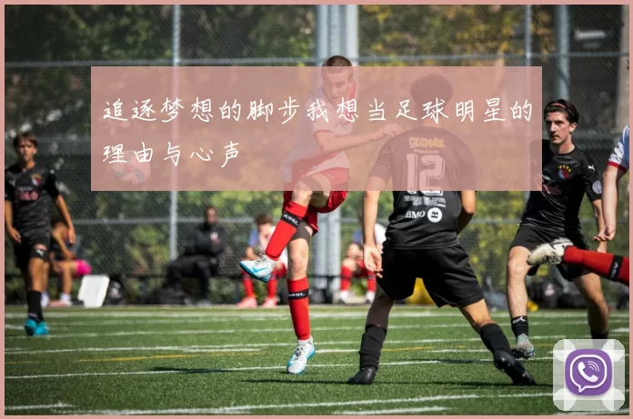 追逐梦想的脚步我想当足球明星的理由与心声