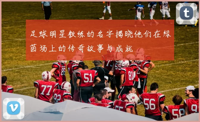 足球明星教练的名字揭晓他们在绿茵场上的传奇故事与成就