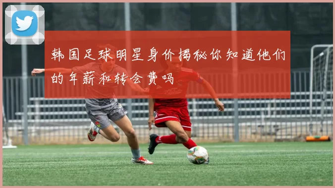 韩国足球明星身价揭秘你知道他们的年薪和转会费吗