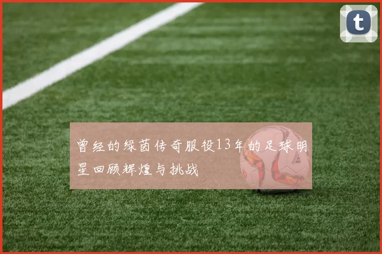 曾经的绿茵传奇服役13年的足球明星回顾辉煌与挑战