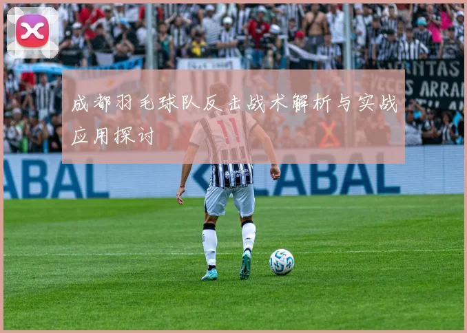 成都羽毛球队反击战术解析与实战应用探讨