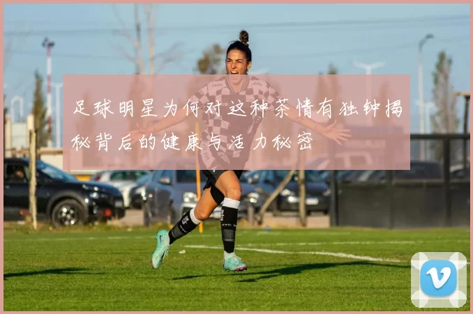 足球明星为何对这种茶情有独钟揭秘背后的健康与活力秘密