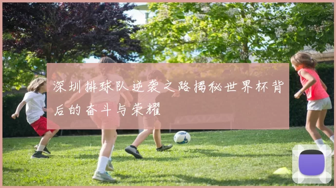 深圳排球队逆袭之路揭秘世界杯背后的奋斗与荣耀