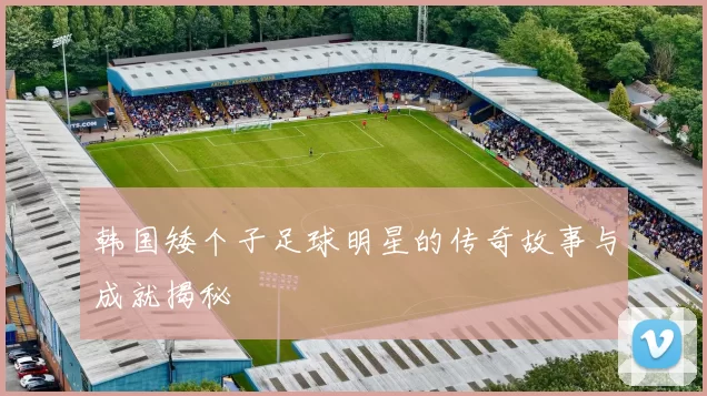 韩国矮个子足球明星的传奇故事与成就揭秘