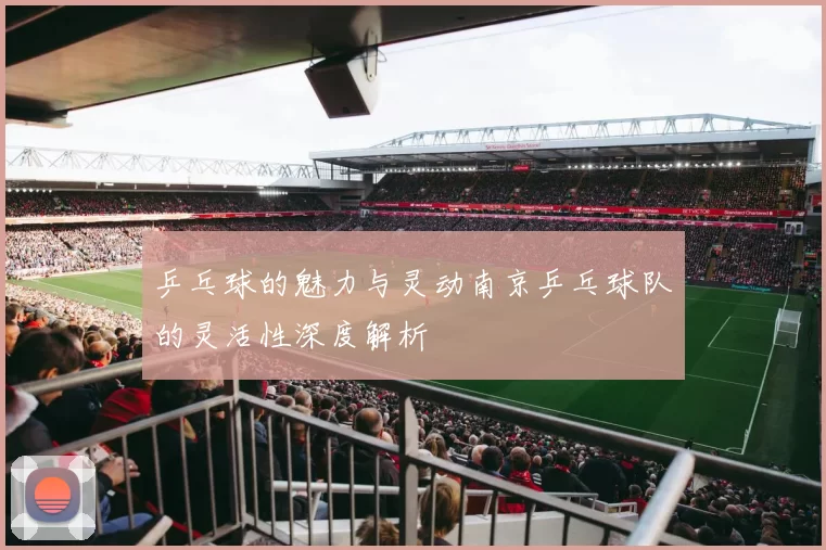 乒乓球的魅力与灵动南京乒乓球队的灵活性深度解析