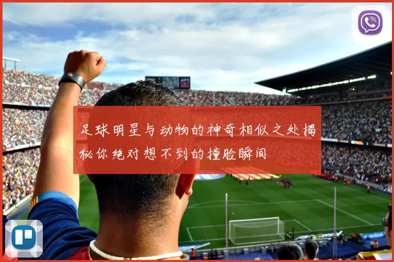 足球明星与动物的神奇相似之处揭秘你绝对想不到的撞脸瞬间