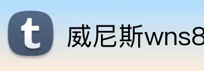 威尼斯wns8885556 Logo